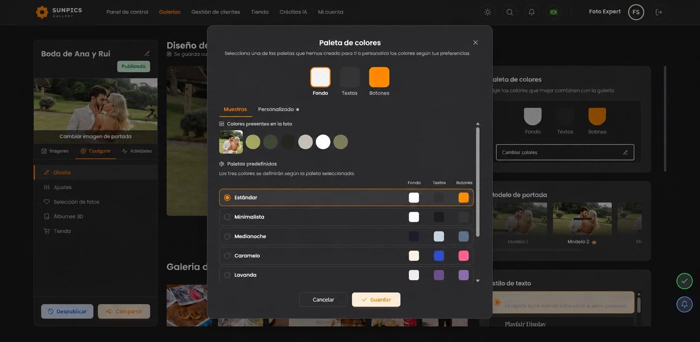 Selección de la paleta de colores de la galería